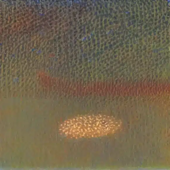 La imagen ilustra un método simple para comprobar si las castañas tienen gusanos utilizando una linterna, ya que manchas de color claro indican la presencia de gusanos.