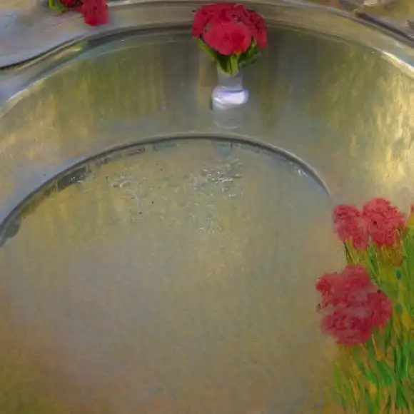 Una imagen de un drenaje bien mantenido, libre de coágulos con un olor agradable representa el truco infalible para garantizar los desagües sin olor y sin mermelada en la cocina.